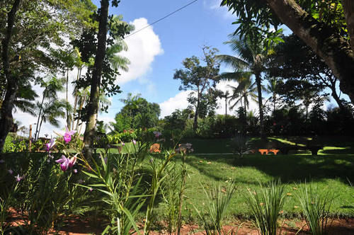Pousada Da Paz Itacare Bagian luar foto